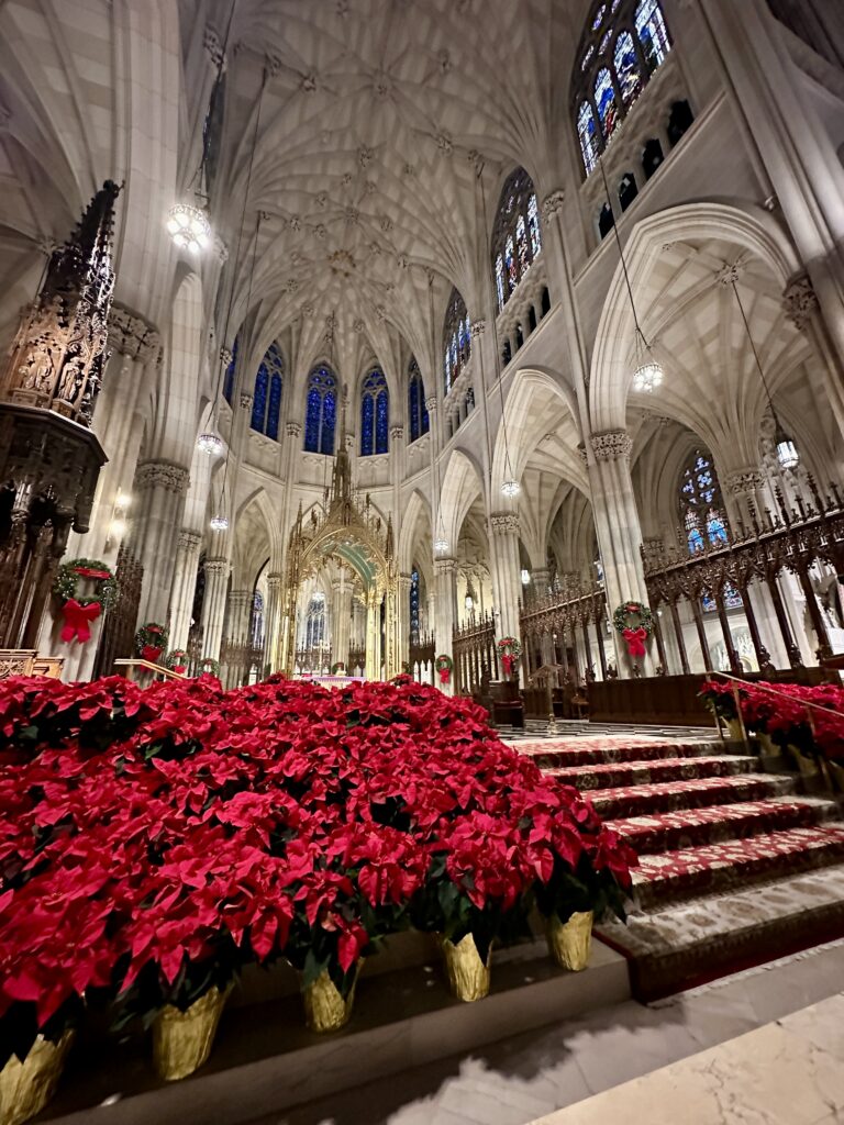St. Patrick's Cathedral in NYC at Christmas