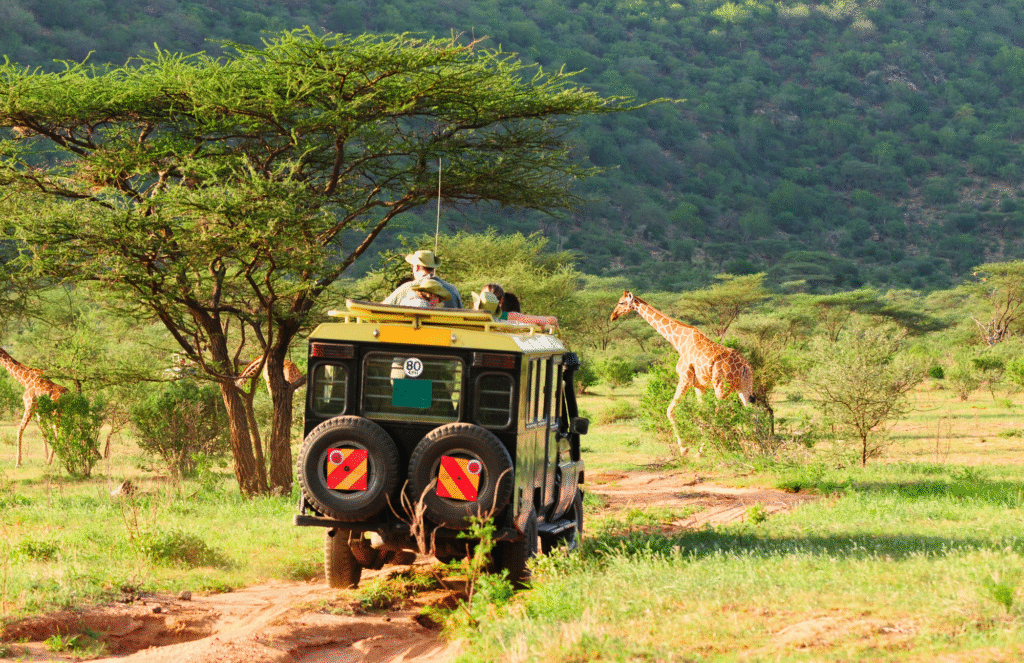 African Safari on my 40 before 40 bucket list