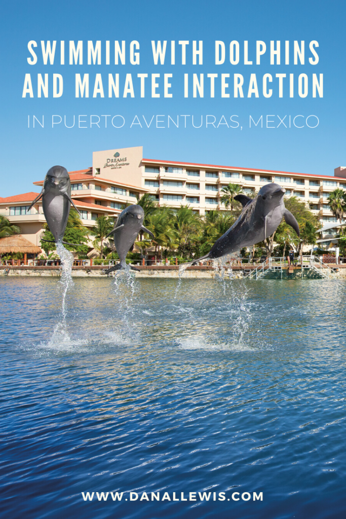 Dolphin Swimming & Manatee Interaction
