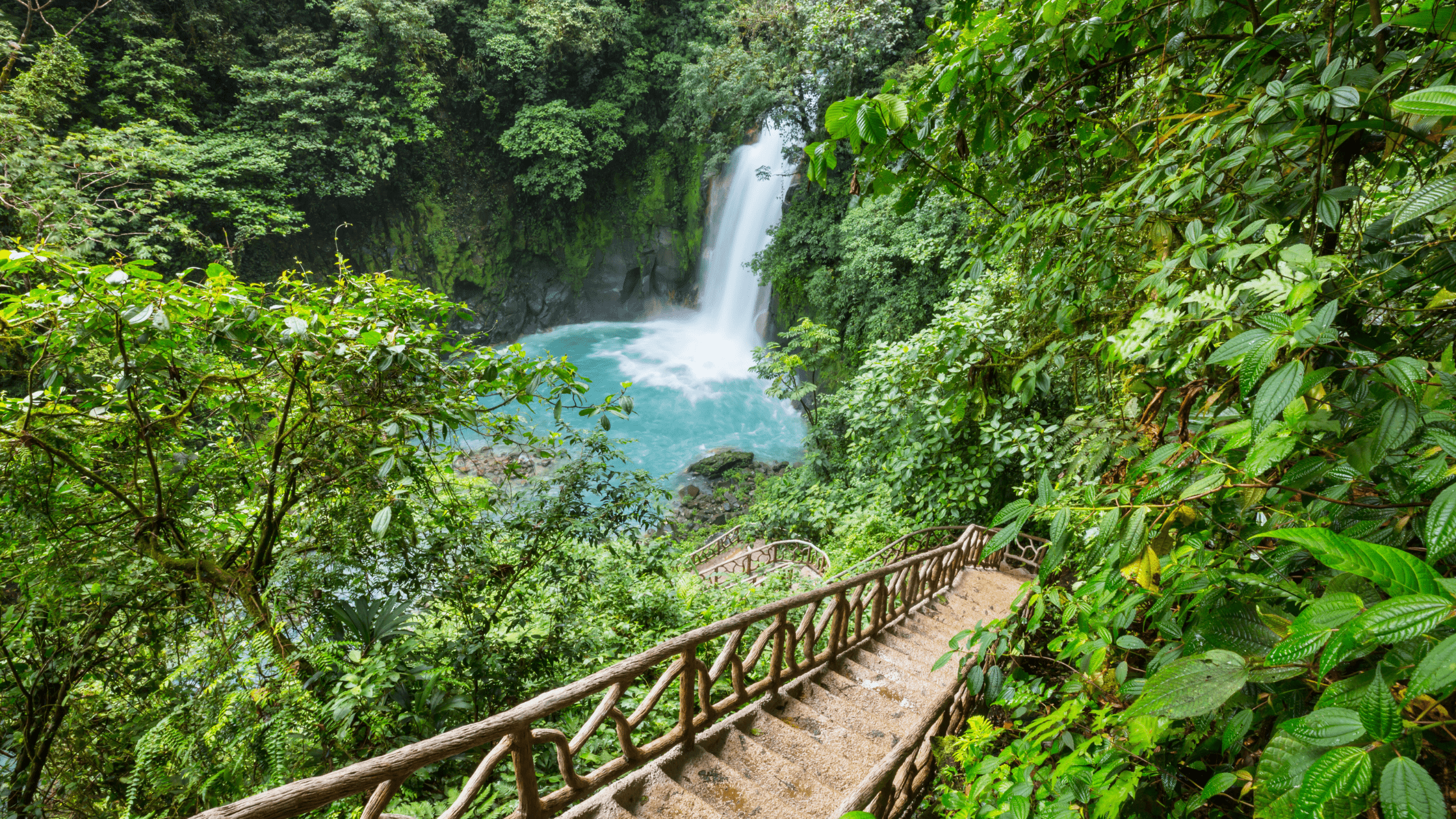 hiking trail in costa rica through the jungle to a waterfall