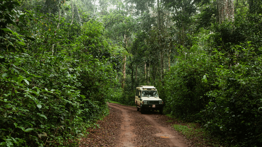 white vehicle on road in Costa Rica jungle