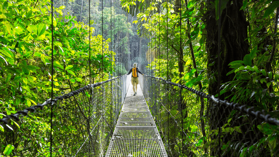 Man hiking across a bridge in Costa Rican jungle