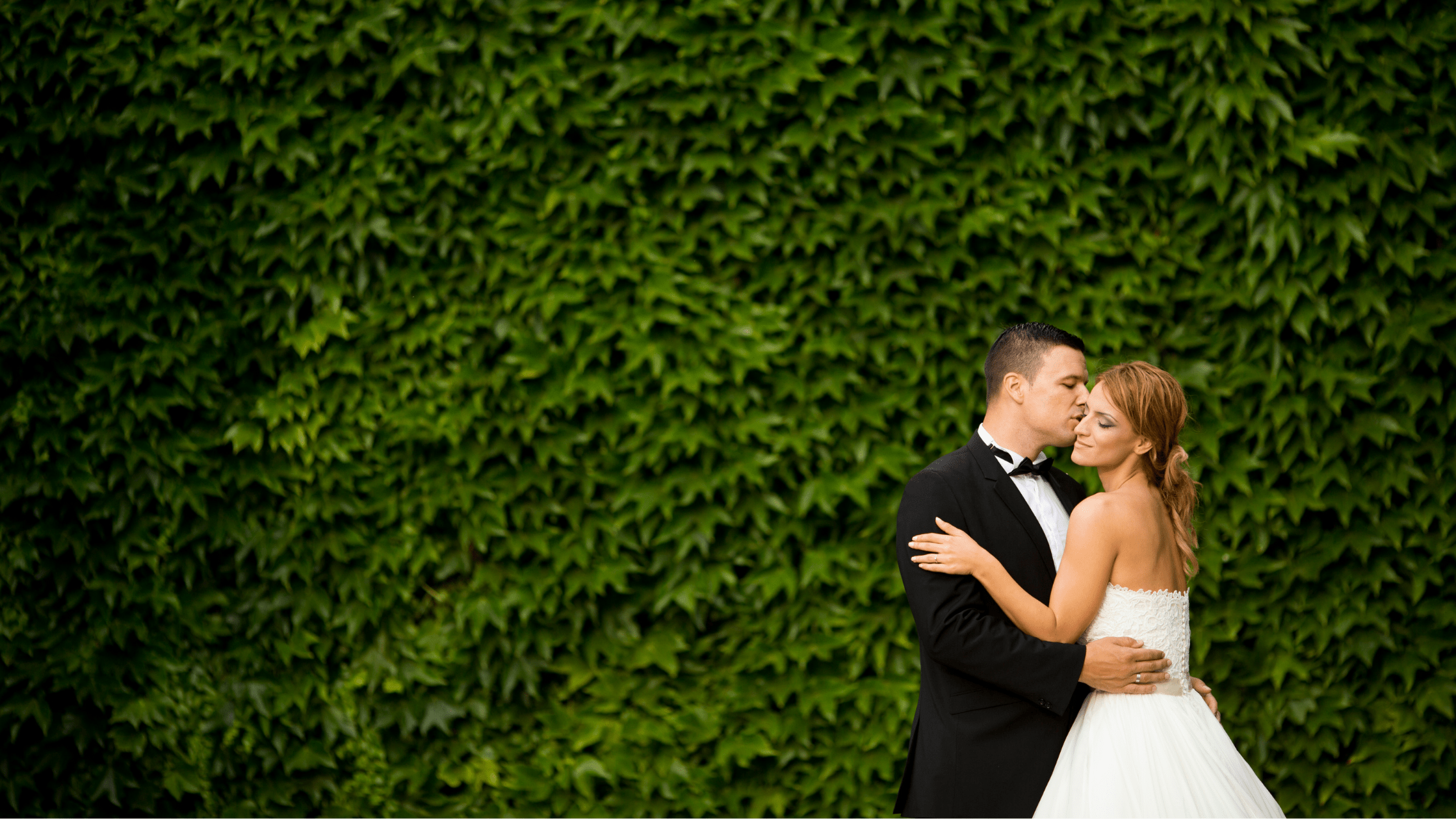 Bride & groom standing in front of a wall covered in greenery