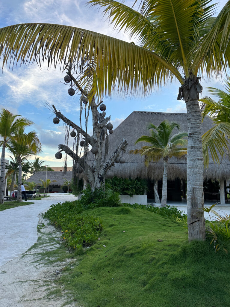 Tucked away among tropical foliage and tranquil walkways, the garden venues (often called the Mystic Area) offer a secluded, intimate space that feels like your own private oasis.