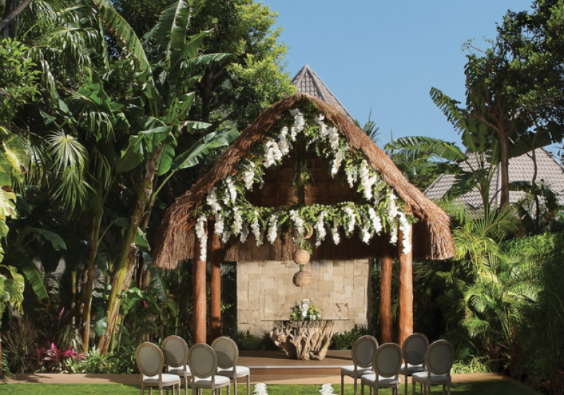 Green garden space surrounded by tropical plants at Dreams Tulum.