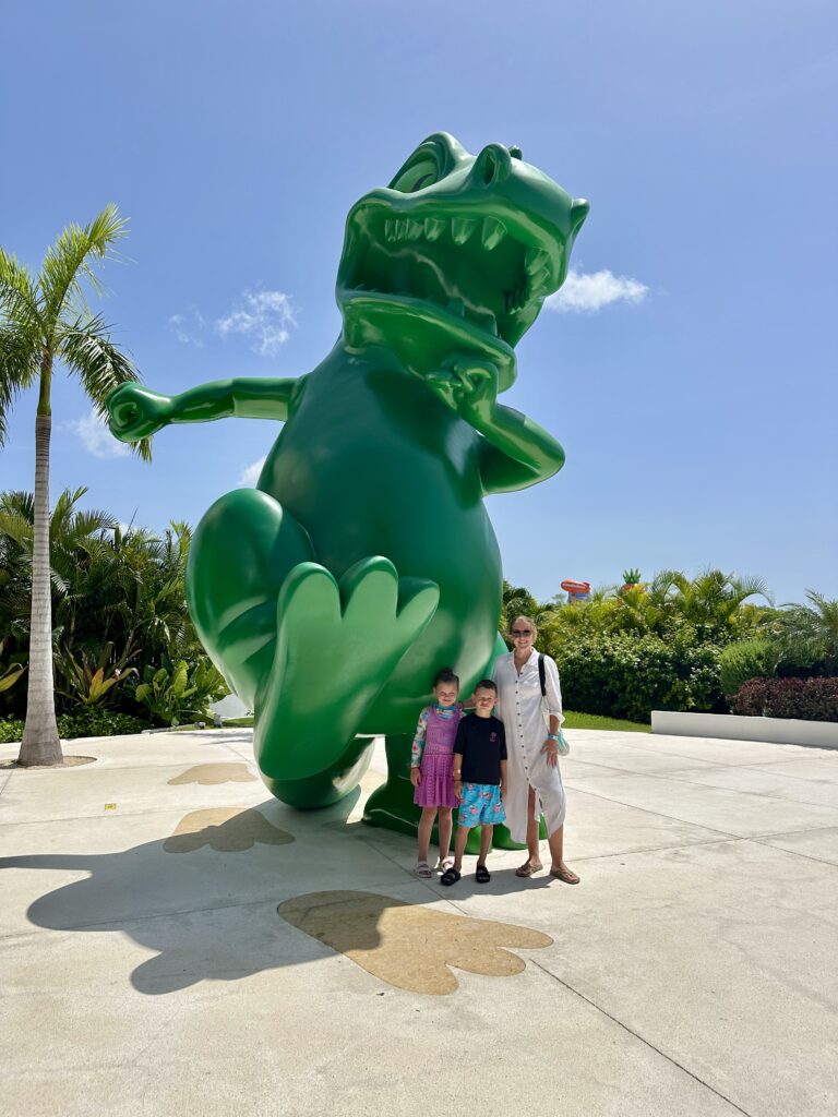 Mexico Family Vacation at AquaNick