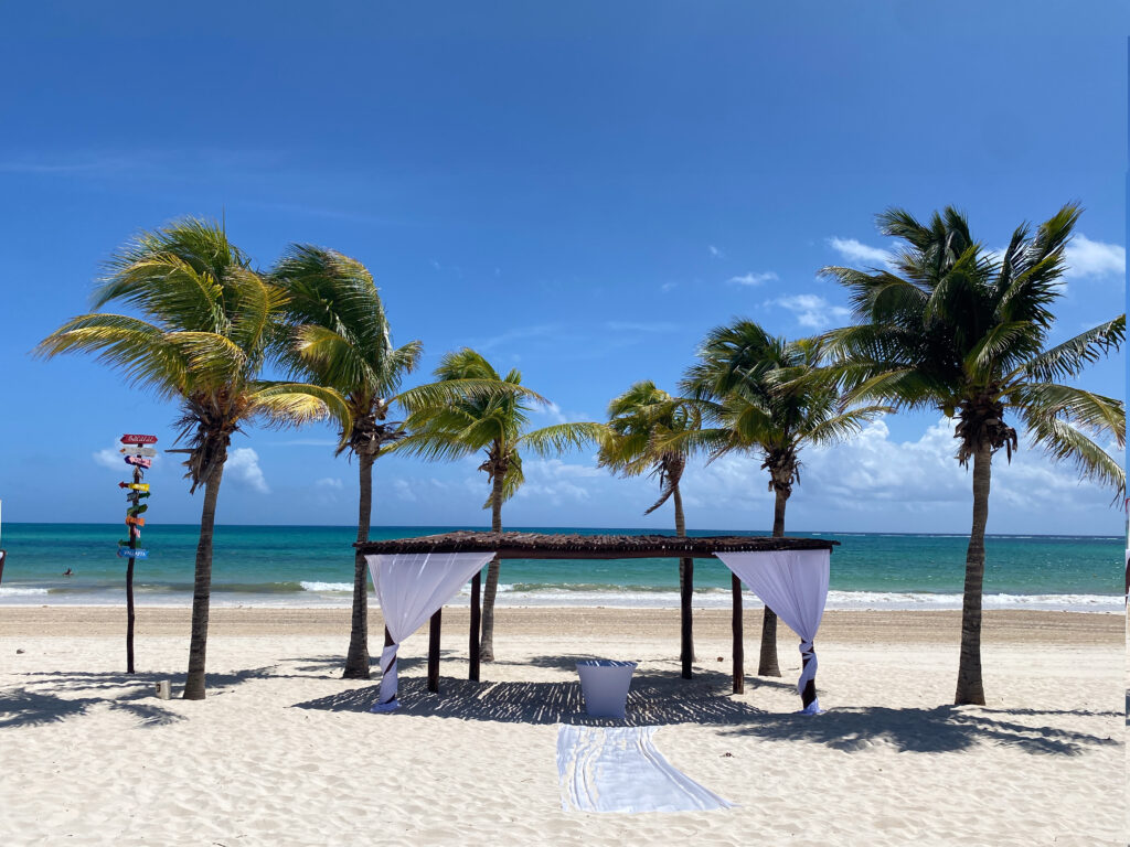 Beachfront ceremony setup with palm trees and ocean views, ideal for a destination wedding ceremony.