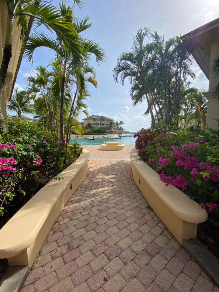 Tropical resort pathway lined with palm trees, lounge chairs, swings, and a thatched-roof beach bar.