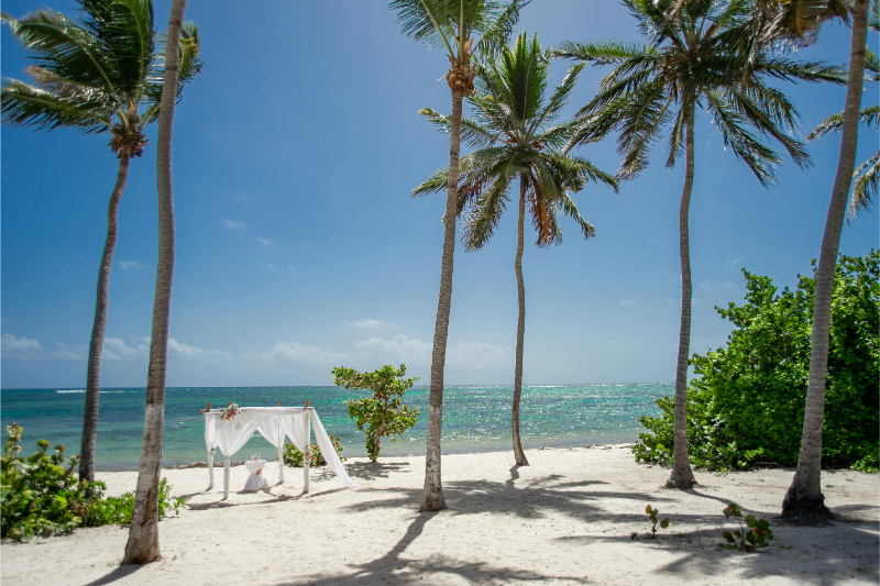 Beach ceremony setup with palm trees and ocean view, destination wedding backdrop in Mexico.
