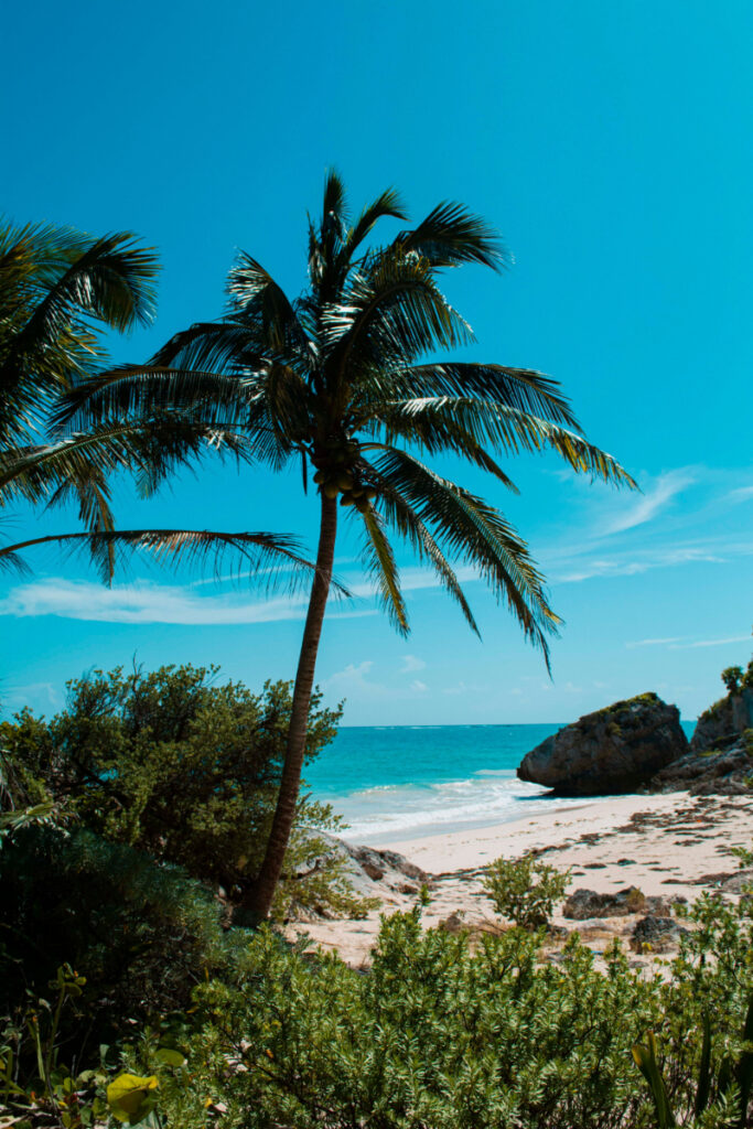 Cancun vs Riviera Maya tropical beach featuring white sand, clear water, and lush greenery