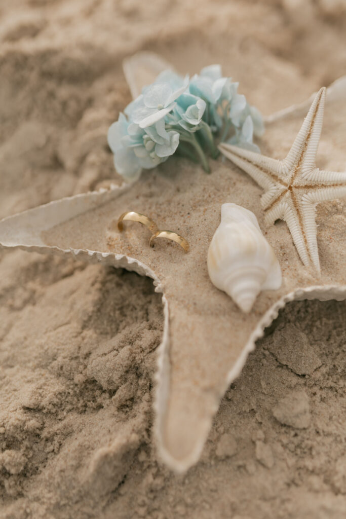 Beach wedding rings surrounded by seashells, starfish, and soft sand
