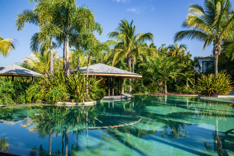 Tropical resort pool surrounded by palm trees and lush gardens, a relaxing escape found in many top honeymoon destinations.
