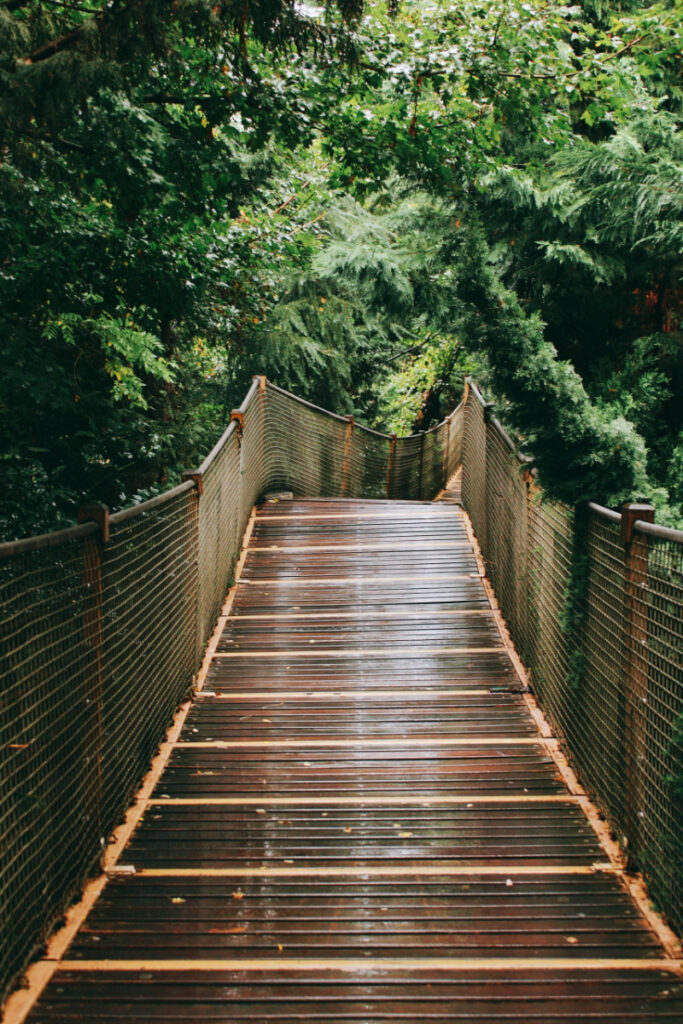 Wet wooden boardwalk stretching through a lush forest with rope railings on both sides.